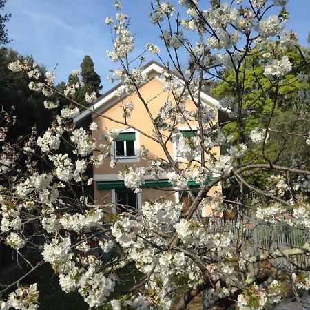 B&B La Rosa Segreta 제노바 외부 사진